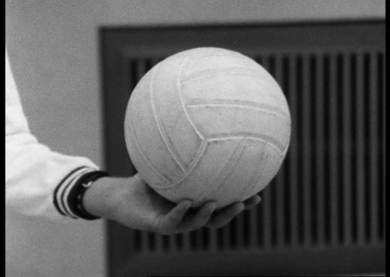 alpharetro Sportarten Volleyball (1972) Mit Verständnis dabei sein