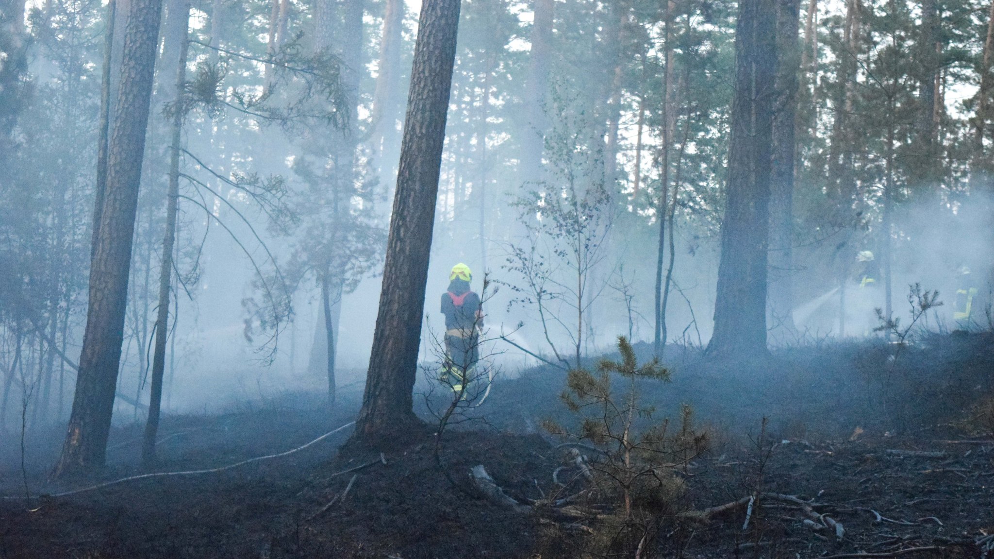 Feuerwehrkräfte beim Löschen im Wald. Rauch steigt vom verbrannten Waldboden auf