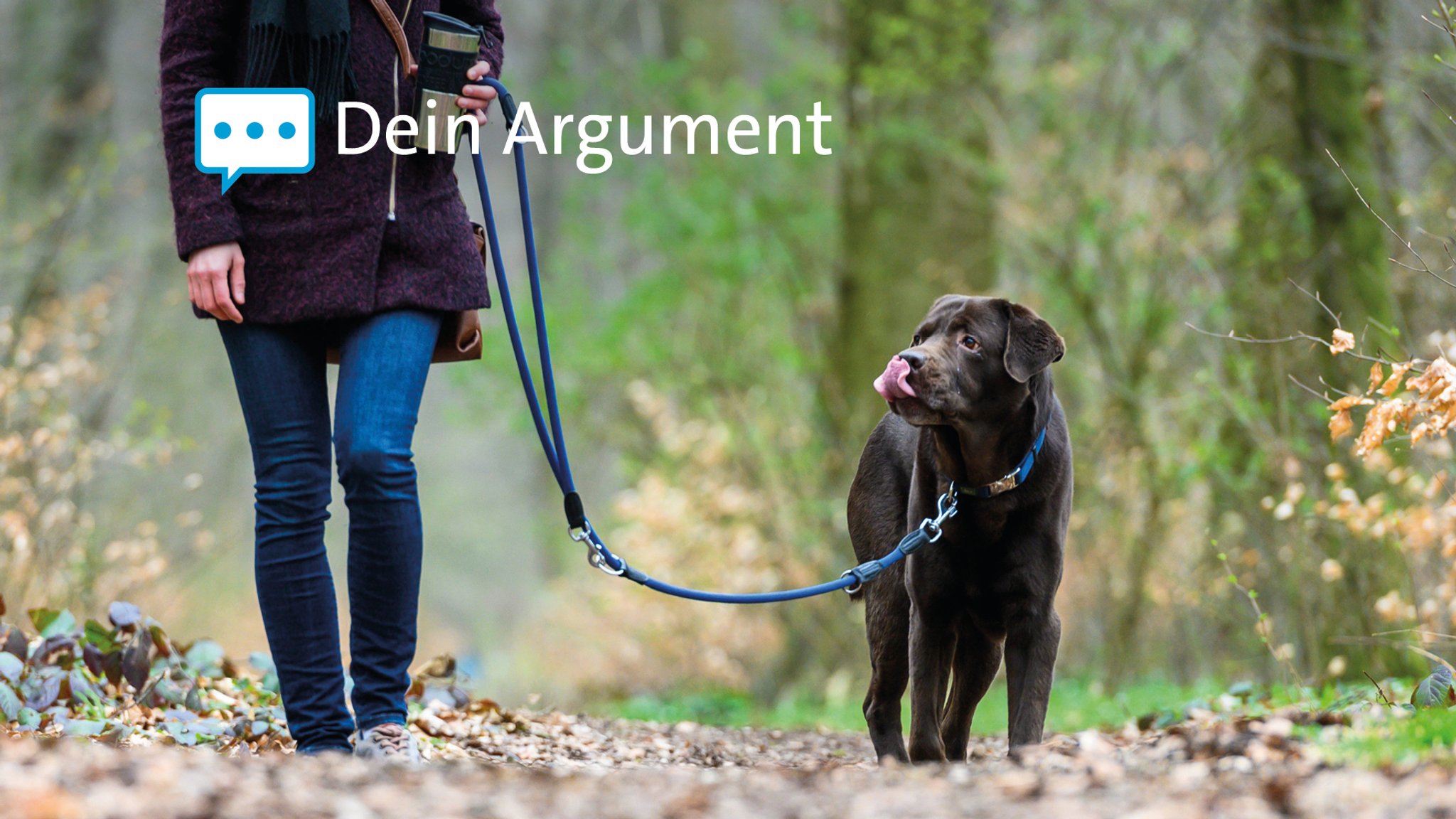 Ein Hund an der Leine einer Frau auf einem Waldweg.