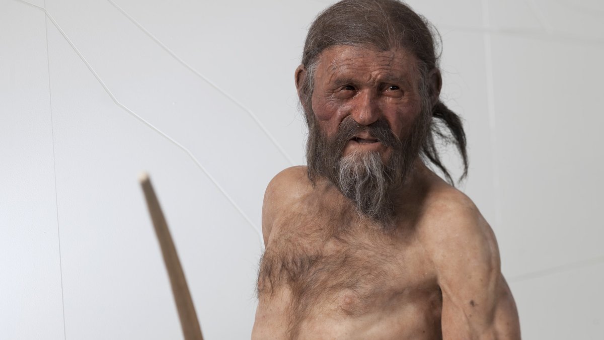 Die Ötzi-Rekonstruktion im Südtiroler Archäologiemuseum