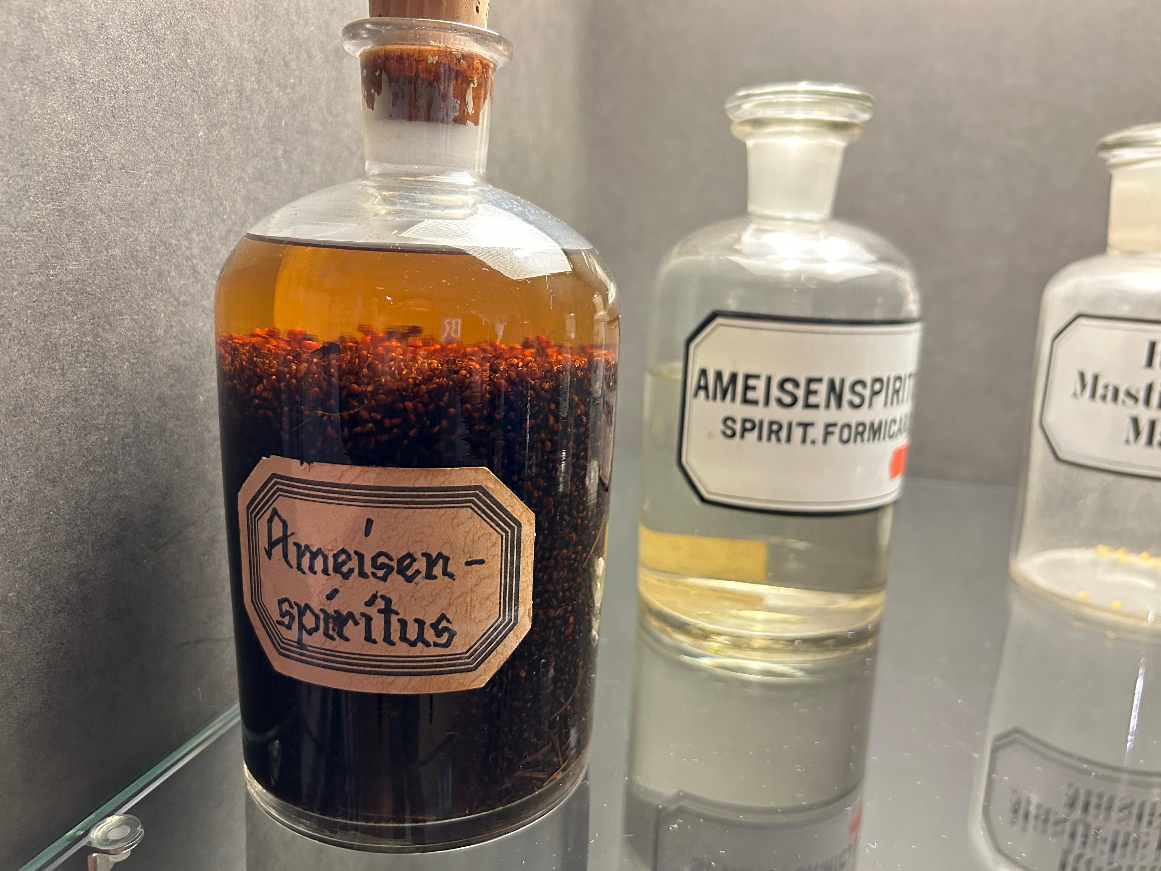 Zu den kuriosesten Gegenständen der Ausstellung "Drogen, Düfte, Destillate" zählt auch Ameisenspiritus aus echten Ameisen.  | Bild:BR/Christoph Röder