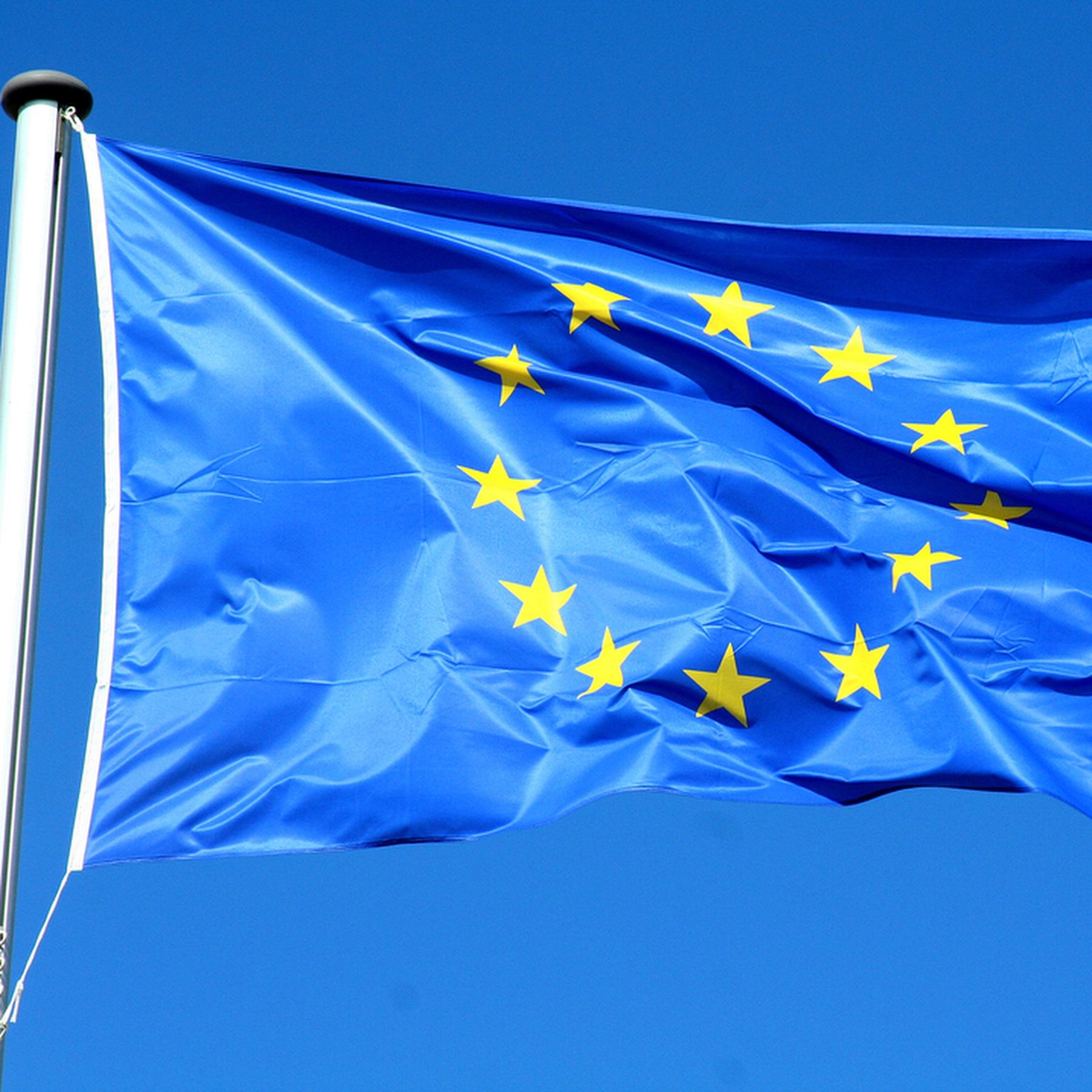 Model European Union: Junge Menschen simulieren das EU-Parlament episode artwork
