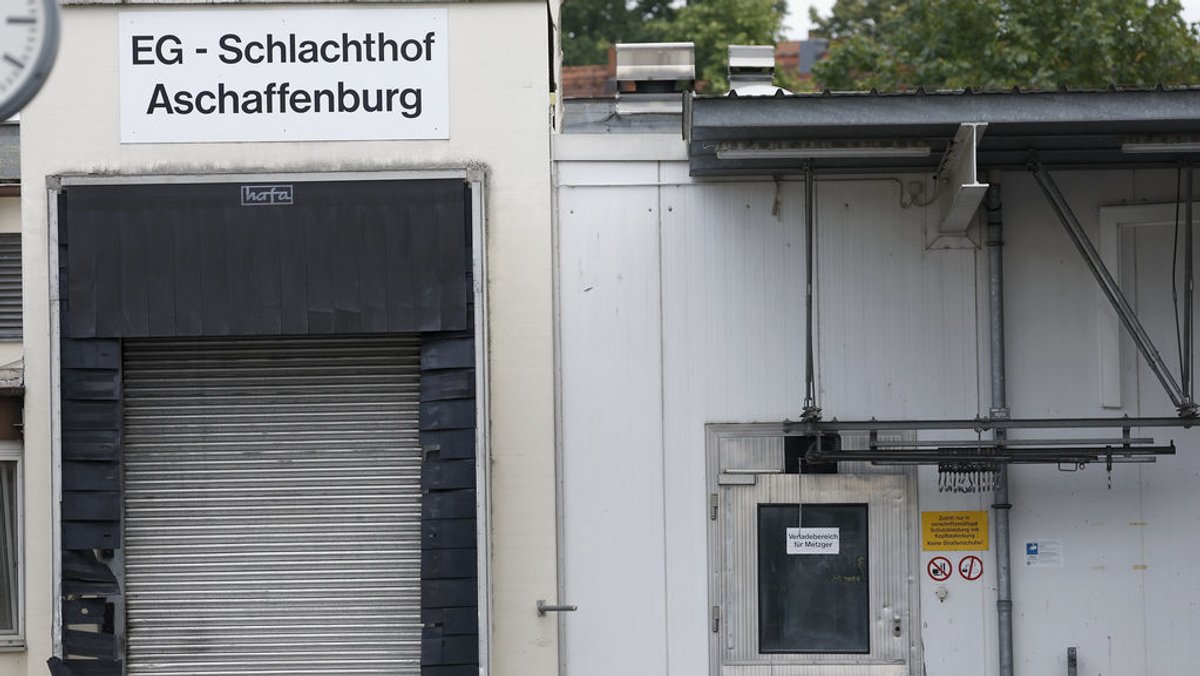 ARCHIV - 26.07.2023, Bayern, Aschaffenburg: Der Schlachthof in Aschaffenburg. Nach Vorwürfen gegen den Schlachthof hat die Staatsanwaltschaft Ermittlungen wegen des Verdachts der quälerischen Tiermisshandlung aufgenommen. (zu dpa: «Ermittlungen zu Tierschutzverstößen in Aschaffenburg ausgeweitet») Foto: Heiko Becker/dpa +++ dpa-Bildfunk +++