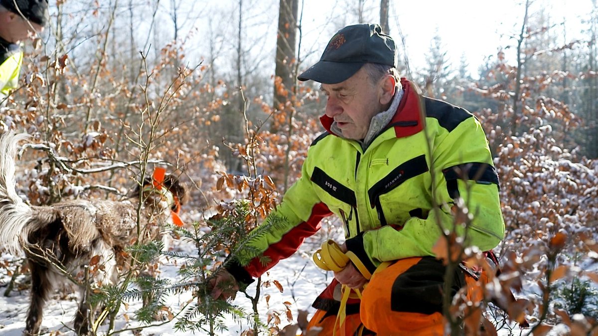Hans Webersberger gibt Jagdkurse für Waldbesitzer, die ihren Wald selbst bejagen wollen.
