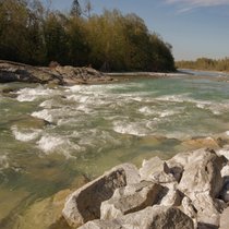 Ein lebendiges Gegenüber - Rechte für die Natur | Bild: Symbolbild_Isar bei Lenggries c picture alliance_imageBROKER_A. Scholz