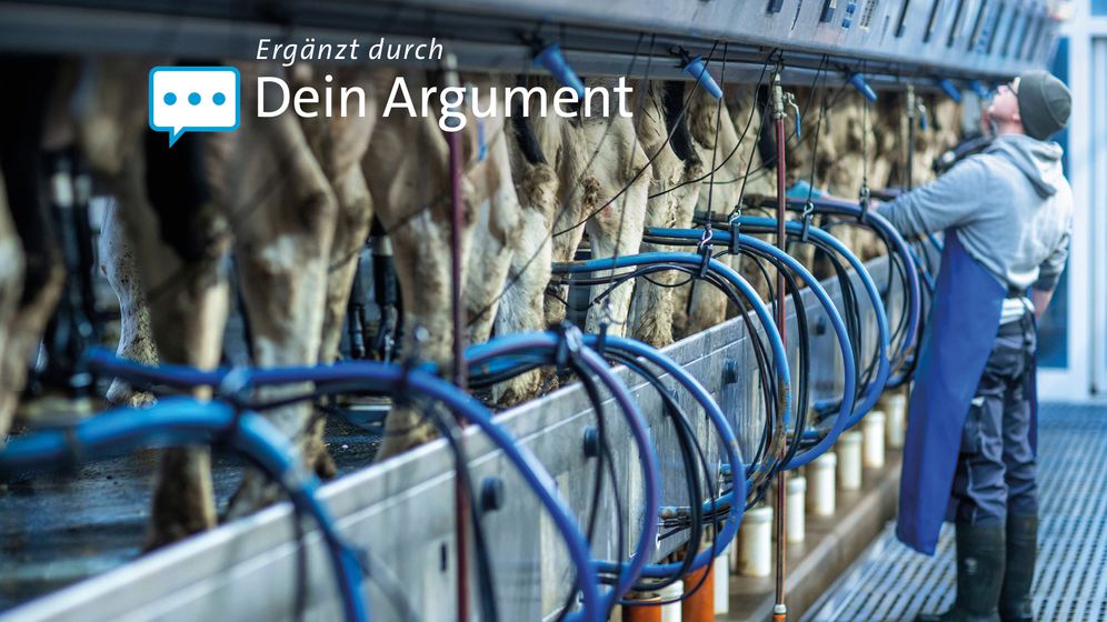 Bauer melkt Kühe im Melkstand | Bild:dpa-Bildfunk/Jens Büttner