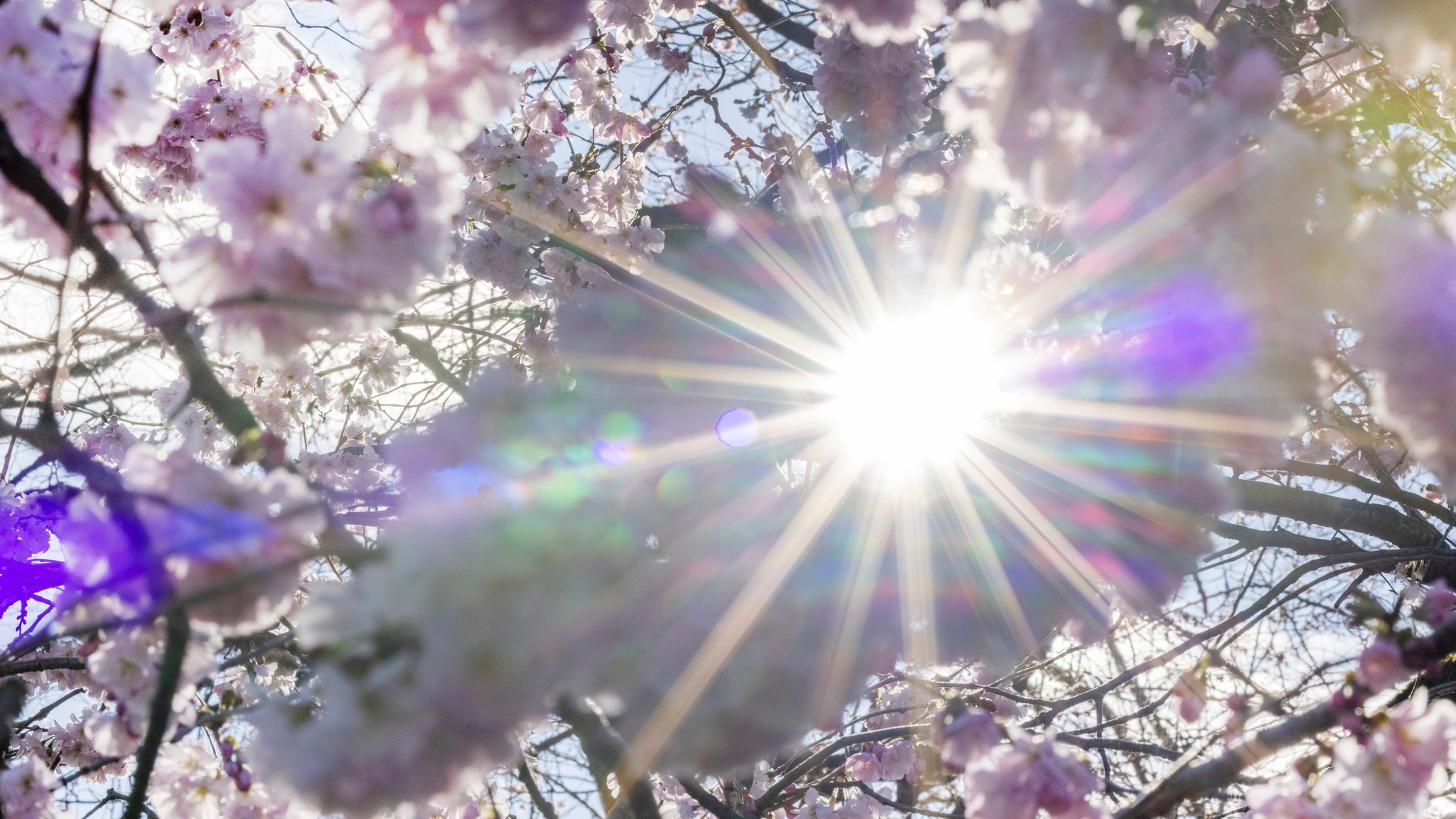 In Bayern sind an diesem Wochenende neue Temperaturrekorde erreicht worden. So wurden etwa in Rosenheim am Sonntag 28,2 Grad gemessen.