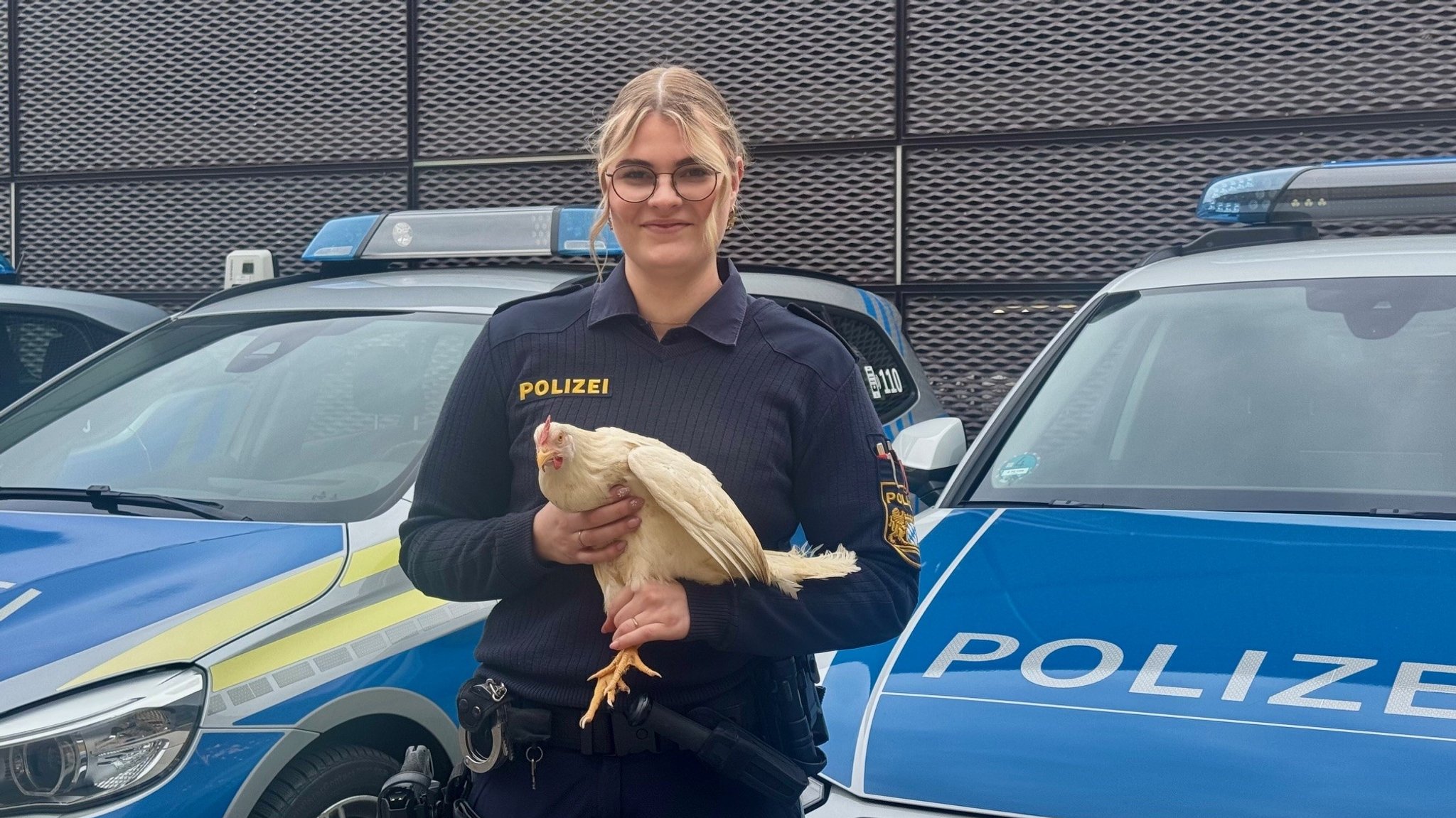 Kurioser Fund passend zu Ostern: Hühner mitten in der Innenstadt