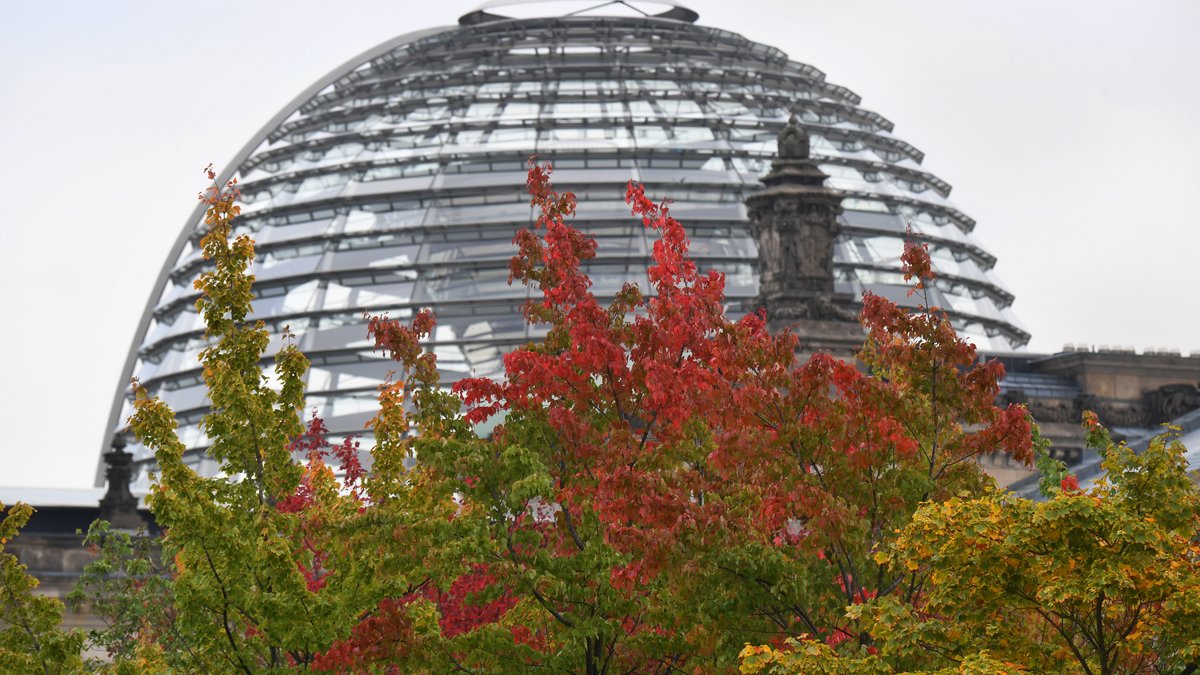 Die Kuppel des Reichstagsgebäudes ist am Tag nach der Bundestagswahl im Regierungsviertel hinter Bäumen zu sehen, deren Blätter anfangen, sich herbstlich bunt zu verfärben.