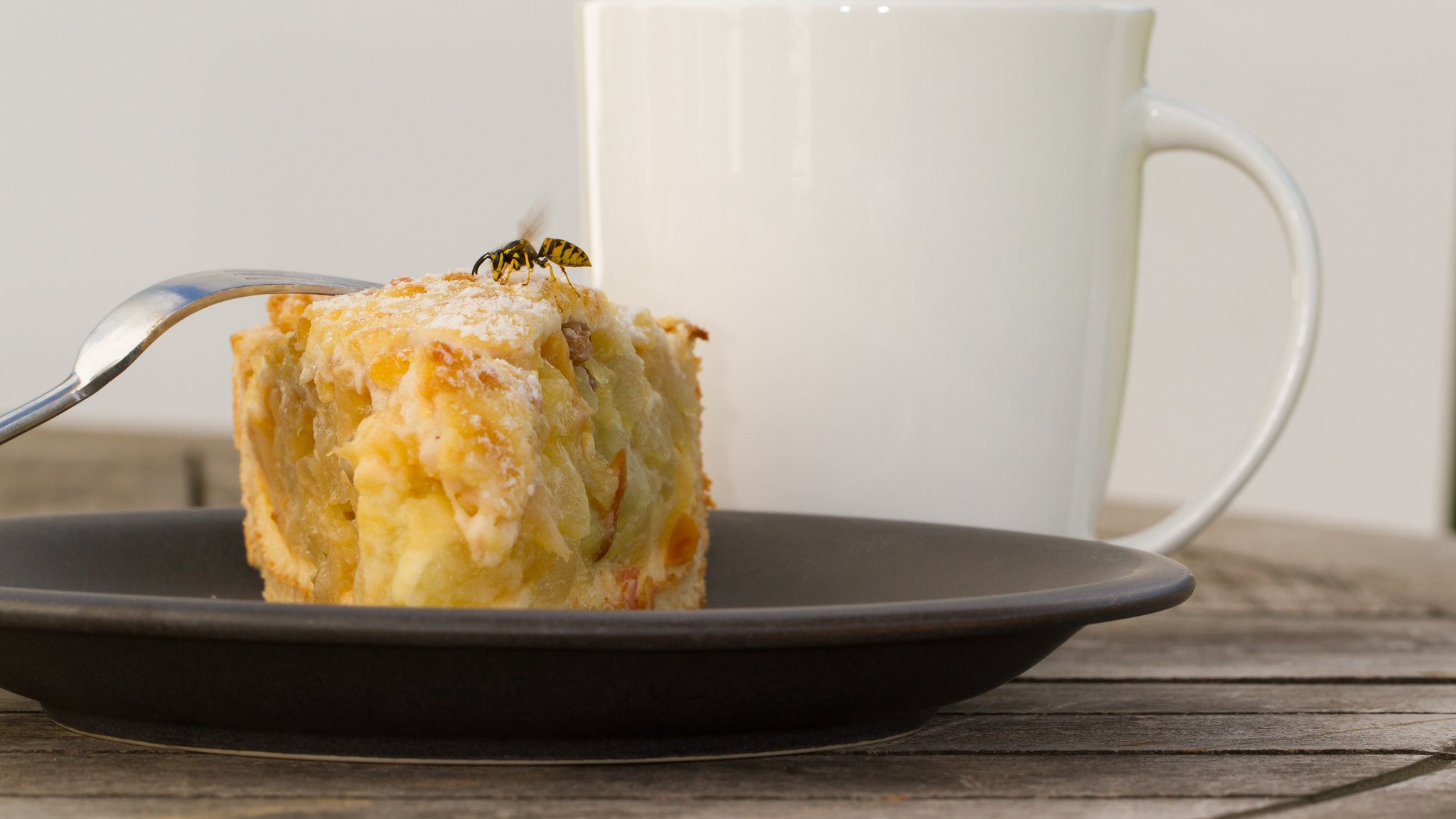 Eine Wespe sitzt auf einem Stück Kuchen. | Bild: stock.adobe.com/Hans-Joerg Hellwig Eine Wespe sitzt auf einem Stück Kuchen.