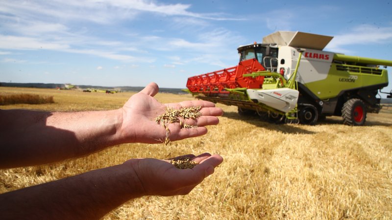 Bayerns Bauern erwarten in diesem Jahr eine unterdurchschnittliche Getreideernte | Bild: picture alliance/dpa/dpa-Zentralbild | Bodo Schackow Bayerns Bauern erwarten in diesem Jahr eine unterdurchschnittliche Getreideernte