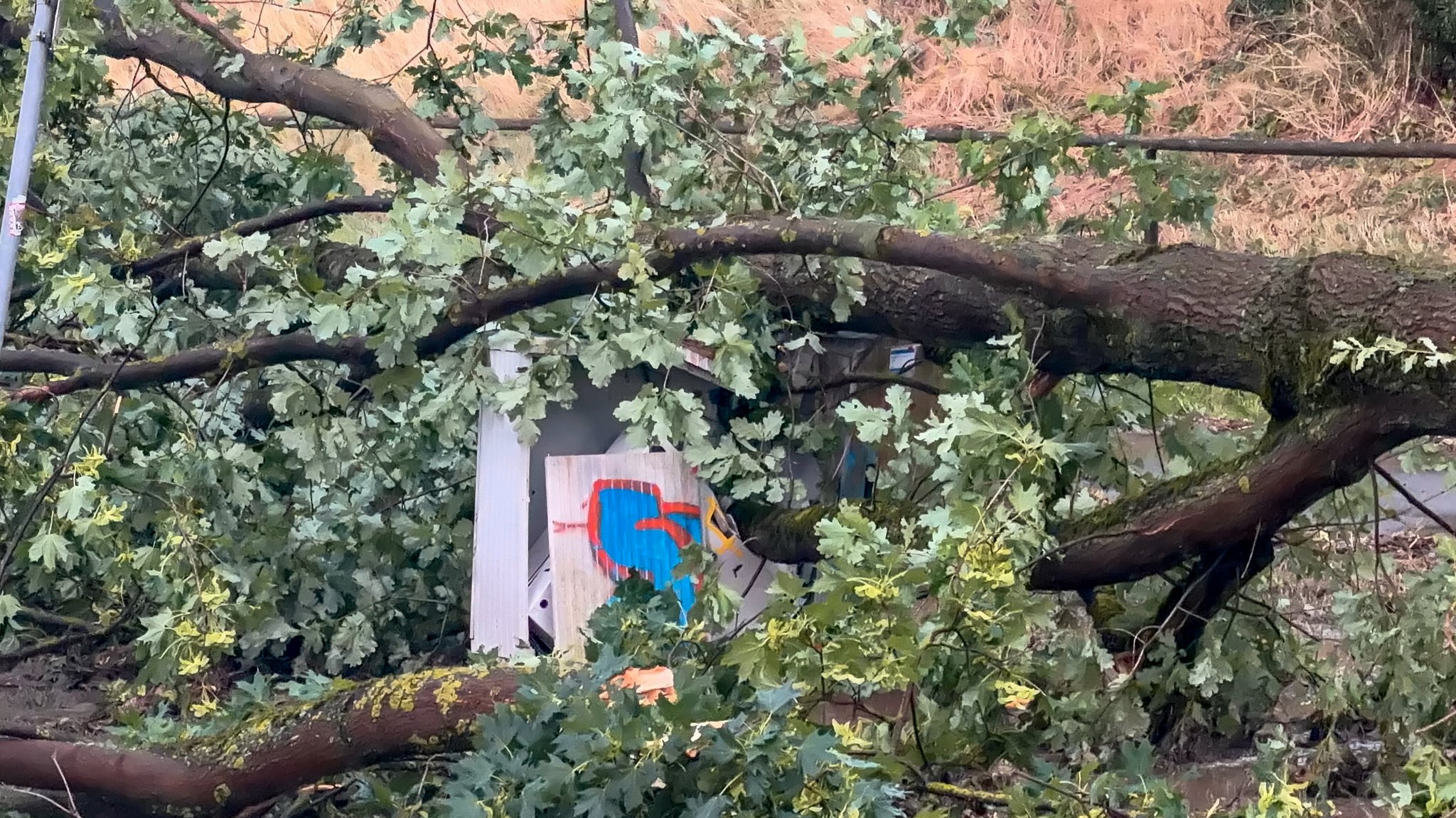 Unwetter trifft Franken: Bäume umgestürzt, Straßen überflutet