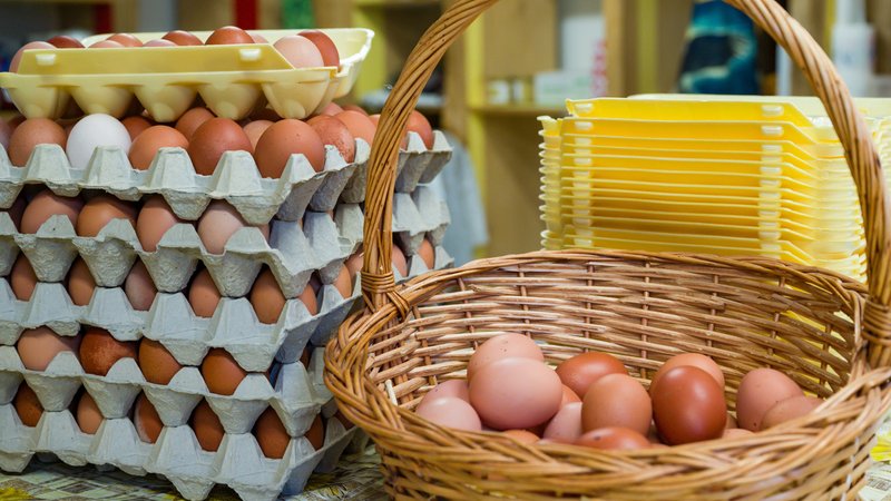 Klimafreundliche Eier gibt es bei entsprechender Fütterung (Symbolbild) | Bild: picture-alliance/dpa Klimafreundliche Eier gibt es bei entsprechender Fütterung (Symbolbild)