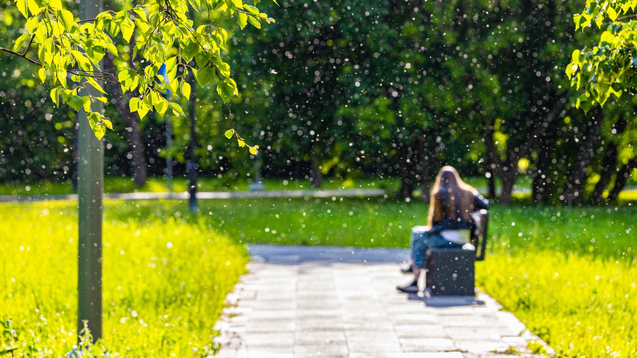 Eine Frau sitzt an einem sonnigen Frühsommertag auf einer Bank in einem  Park, während Pollen und Blütenstaub durch die Luft schweben.