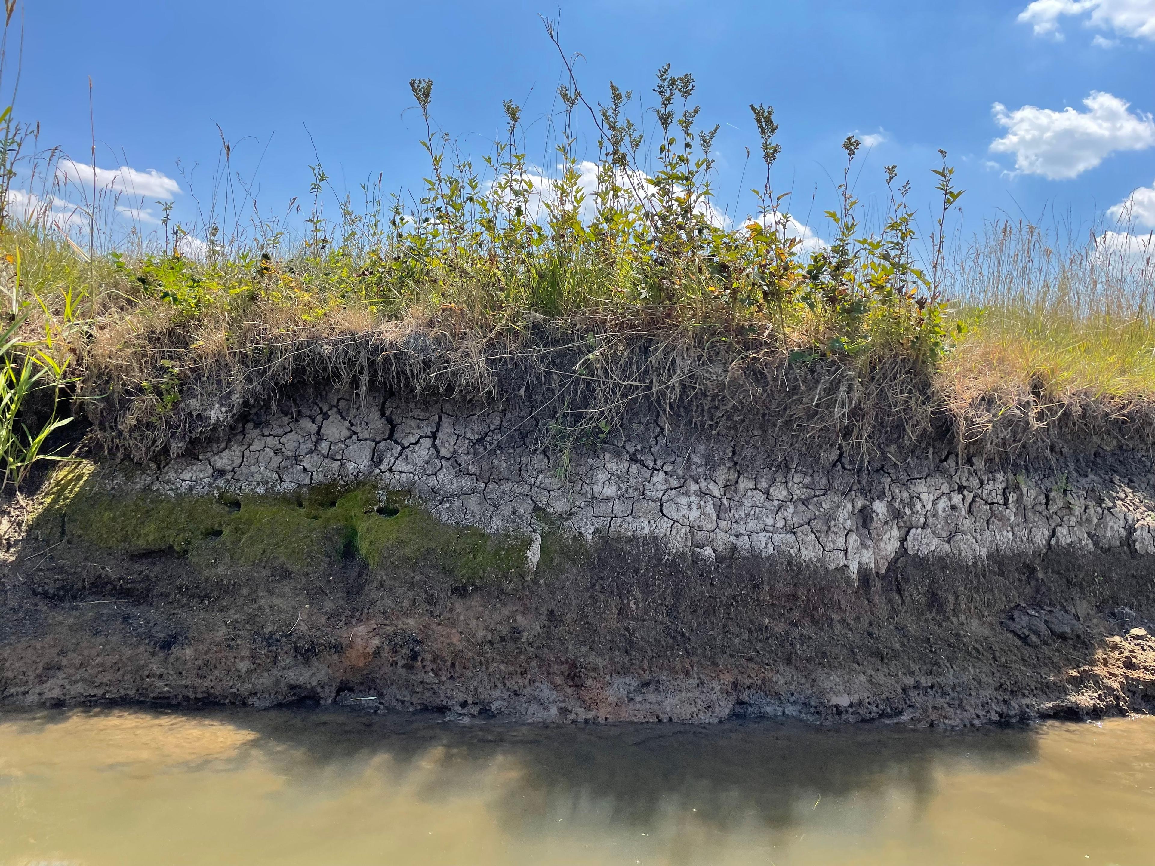 22.07.2022, Ehlheim - Ausgetrocknetes Ufer der Altmühl bei Ehlheim im Lkr. Weißenburg-Gunzenhausen. Der Wasserstand ist besorgniserregend tief, etwa einen halben Meter tiefer als sonst, so niedrig wie zuletzt vor 70 Jahren. Außerdem wird das Flusswasser immer wärmer. Experten empfehlen als Gegenmaßnahme mehr Schatten für die Ufer.