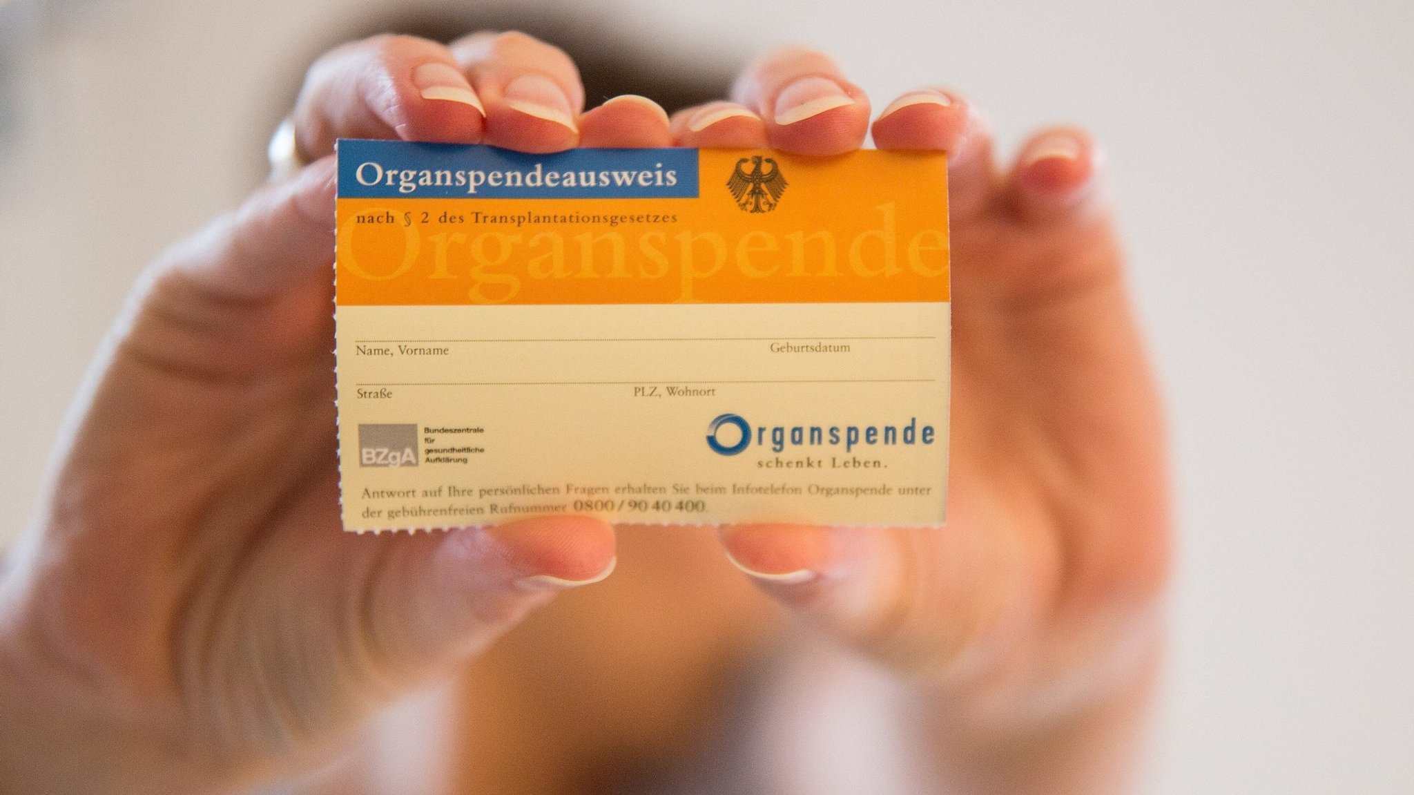 Mehr als 500.000 Einträge im digitalen Organspende-Register