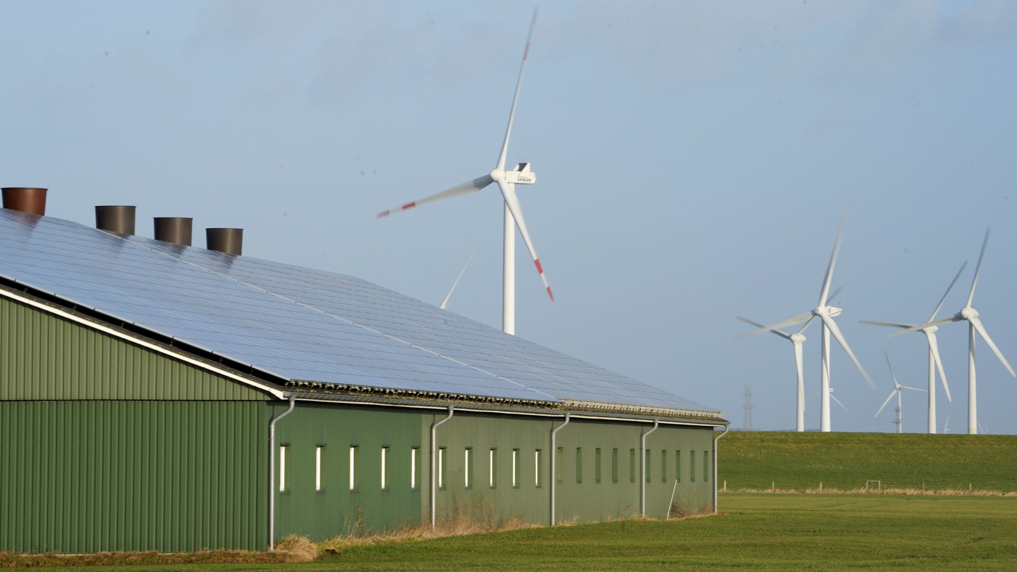 Ein Hausdach mit Photovoltaik-Anlage, dahinter ein Windkraftanlage