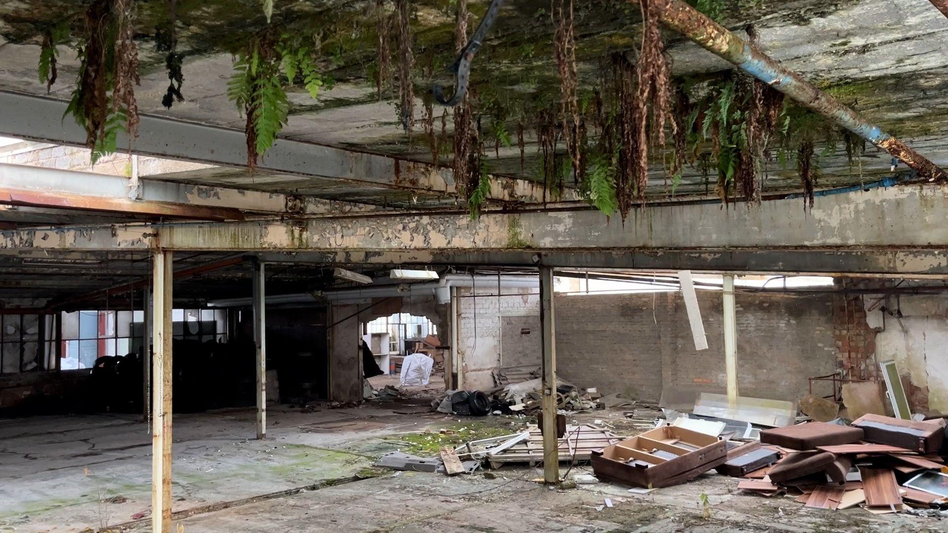 Lost Place: Blick in eine ehemalige Fabrikhalle der Glasfabrik Beyer & Co in Altenstadt an der Waldnaab. Müll und Gebäudeteile liegen auf dem Boden, Pflanzen wachsen von der Decke.