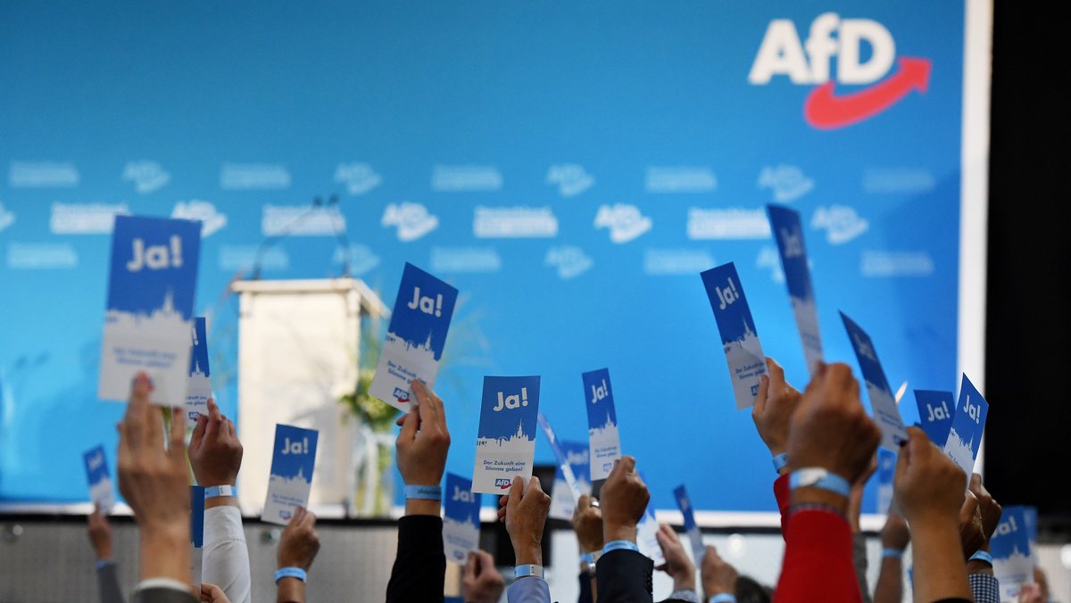 Archivbild: Parteimitglieder halten beim Landesparteitag der AfD Bayern Stimmkarten hoch. 