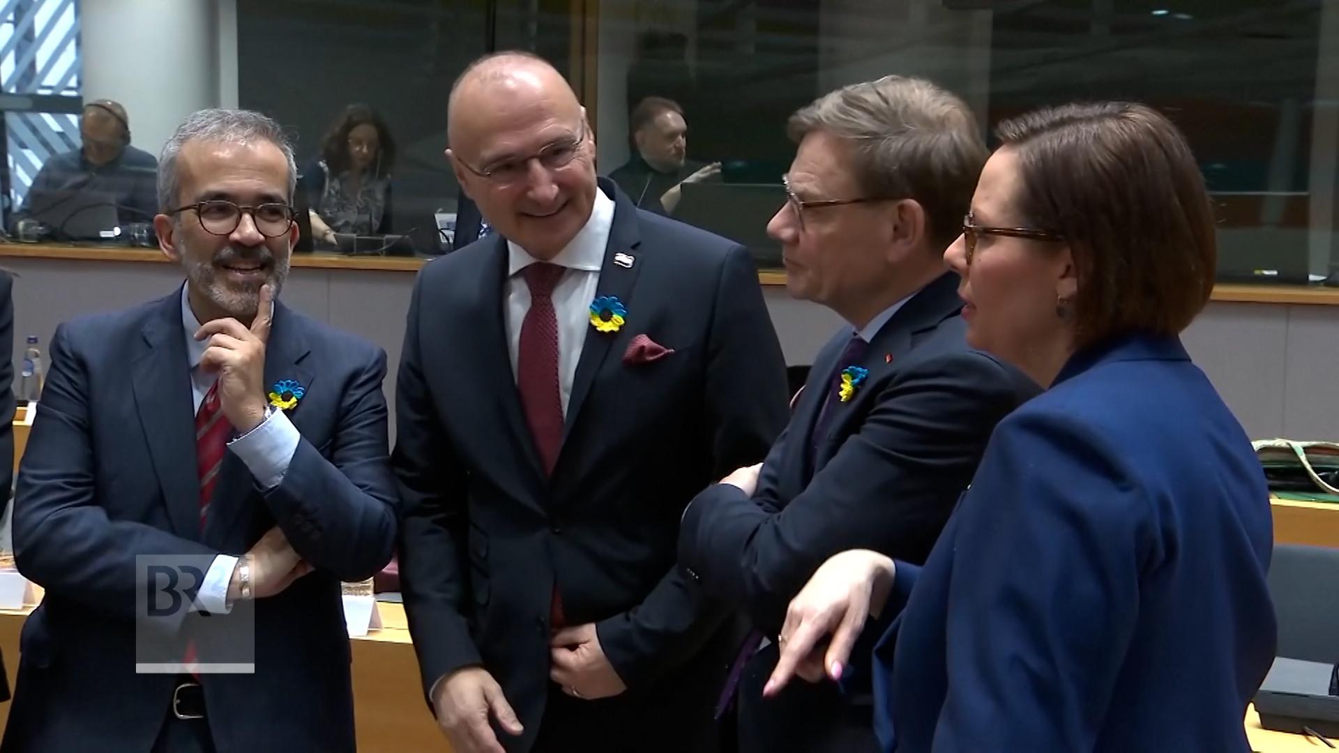 Viele der EU-Außenminister machten schon auf dem Revers ihre Position klar - doch entsprechende Beschlüsse konnten nicht gefasst werden