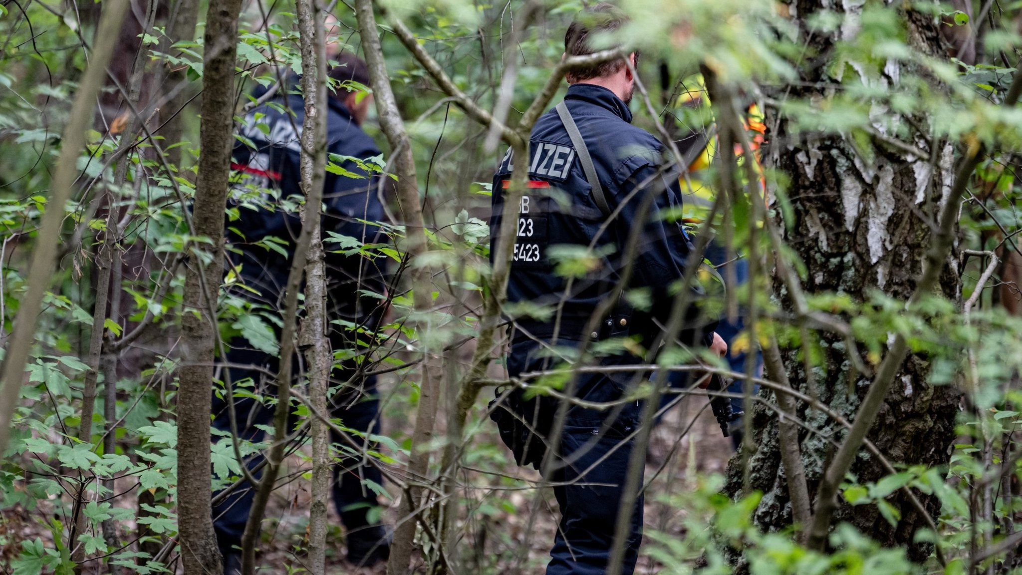 Polizei gibt Entwarnung: Wohl doch keine Löwin in Kleinmachnow