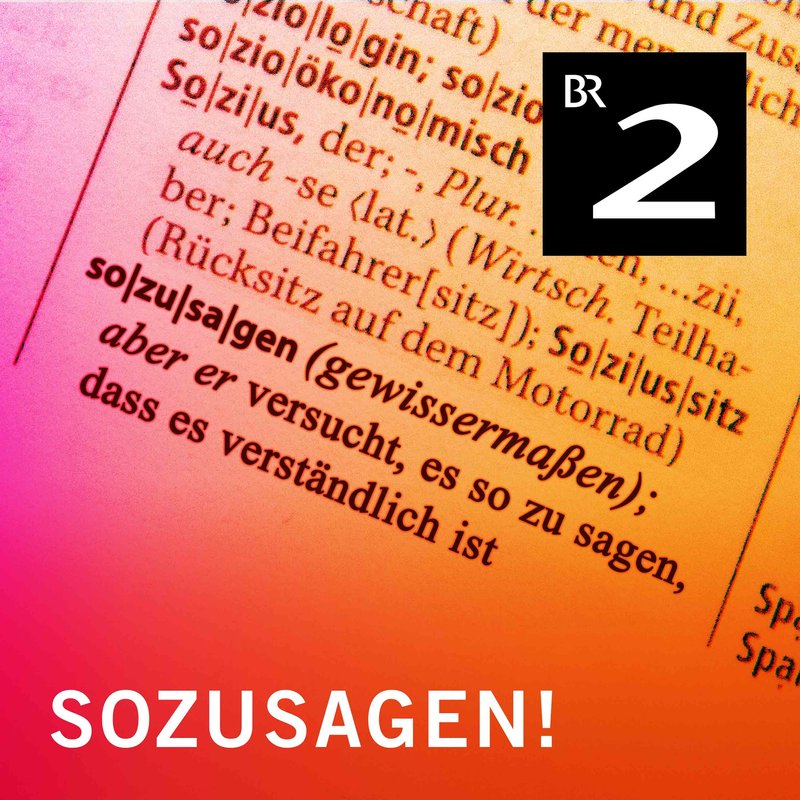 Your ticket is not guilty: Wie spricht die Deutsche Bahn mit uns? - Sozusagen | BR Podcast