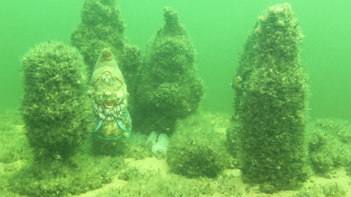 Mehrere Figuren, alle bis auf einen sind mit Muscheln bewachsen