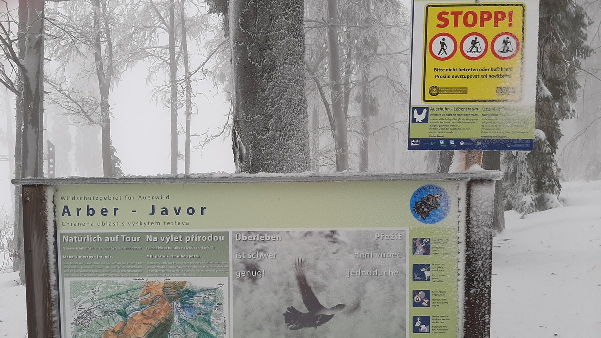 Warnschilder als Teil des neuen Besucherlenkungskonzepts zum Schutz von Auerhühnern im Gebiet des Großen Arbers