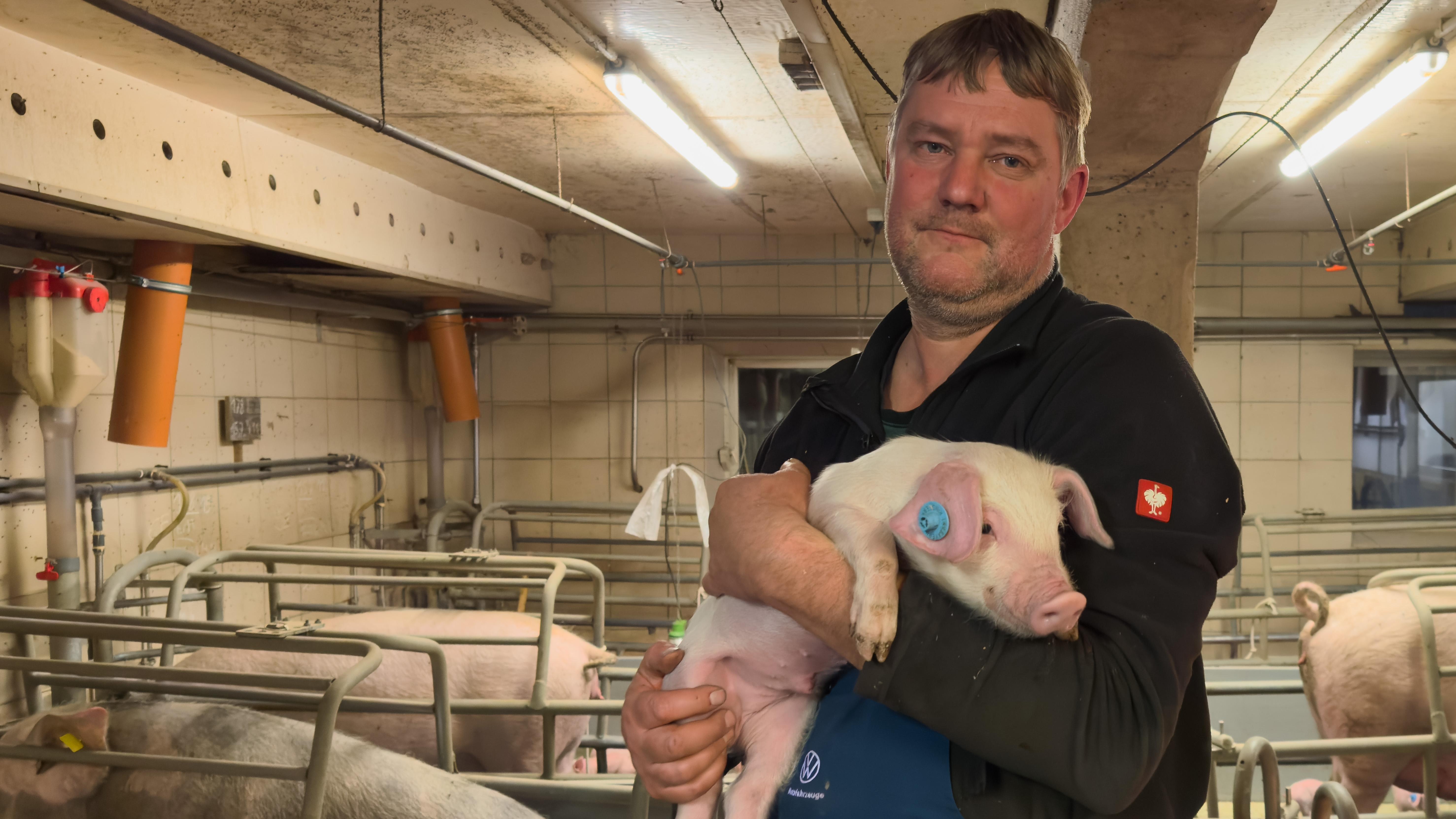Schweinebauer Frank Janetzky im Schweinestall bei Traunwalchen mit einem Ferkel.