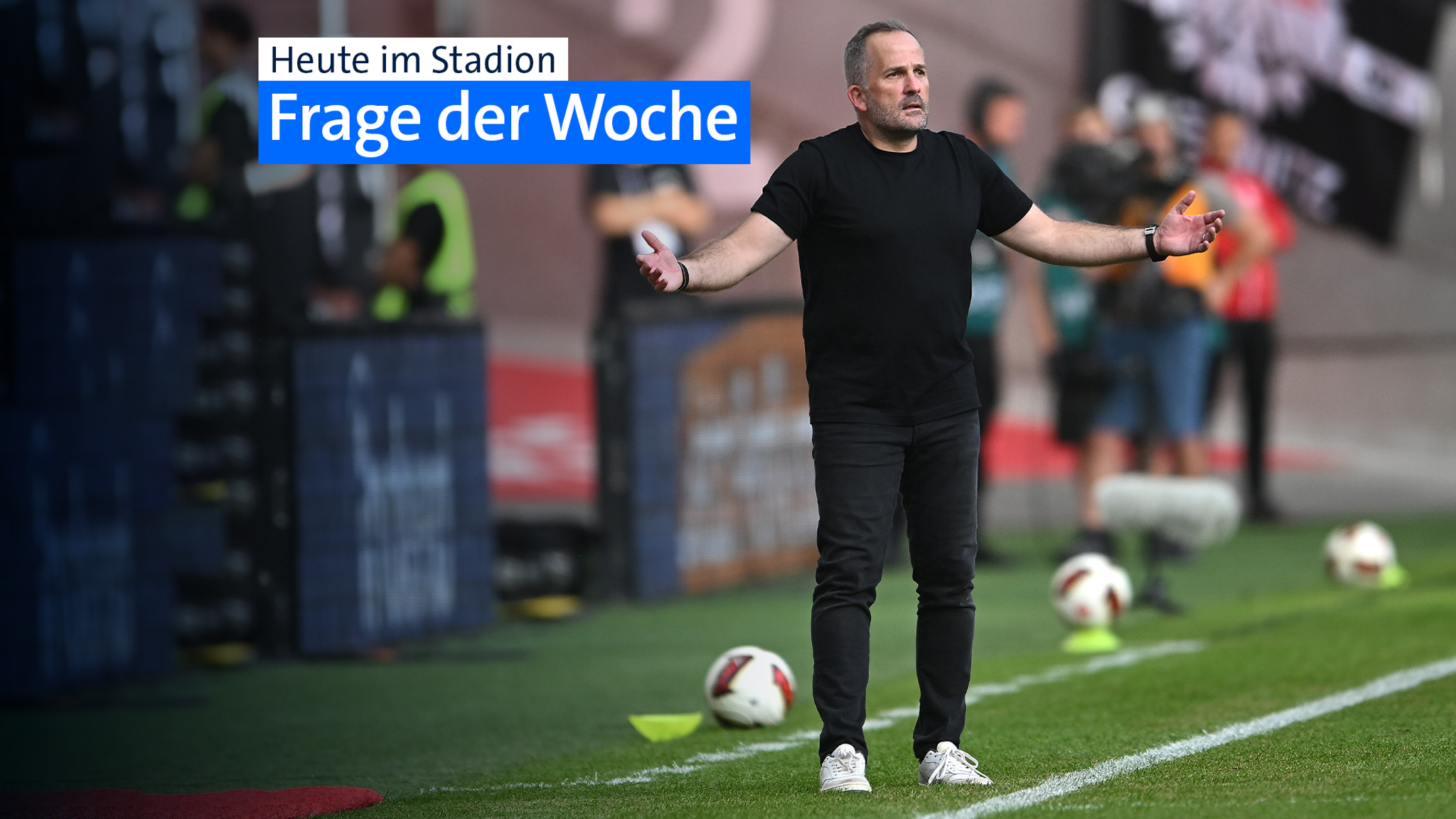 Manuel Baum, Trainer FC Augsburg | Bild: picture-alliance/dpa/Montage BR Manuel Baum, Trainer FC Augsburg
