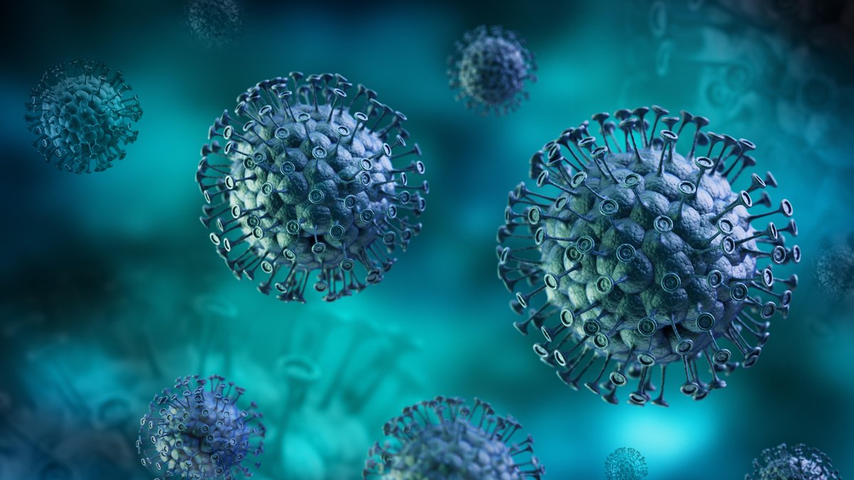 Corona-FAQ: Das wissen wir über das Coronavirus