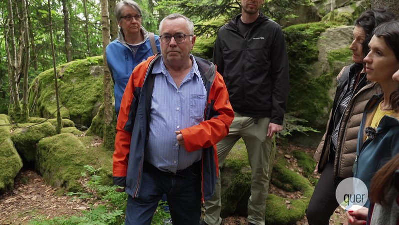 quer vom 05.06.2025 | Bild: BR quer vom 05.06.2025