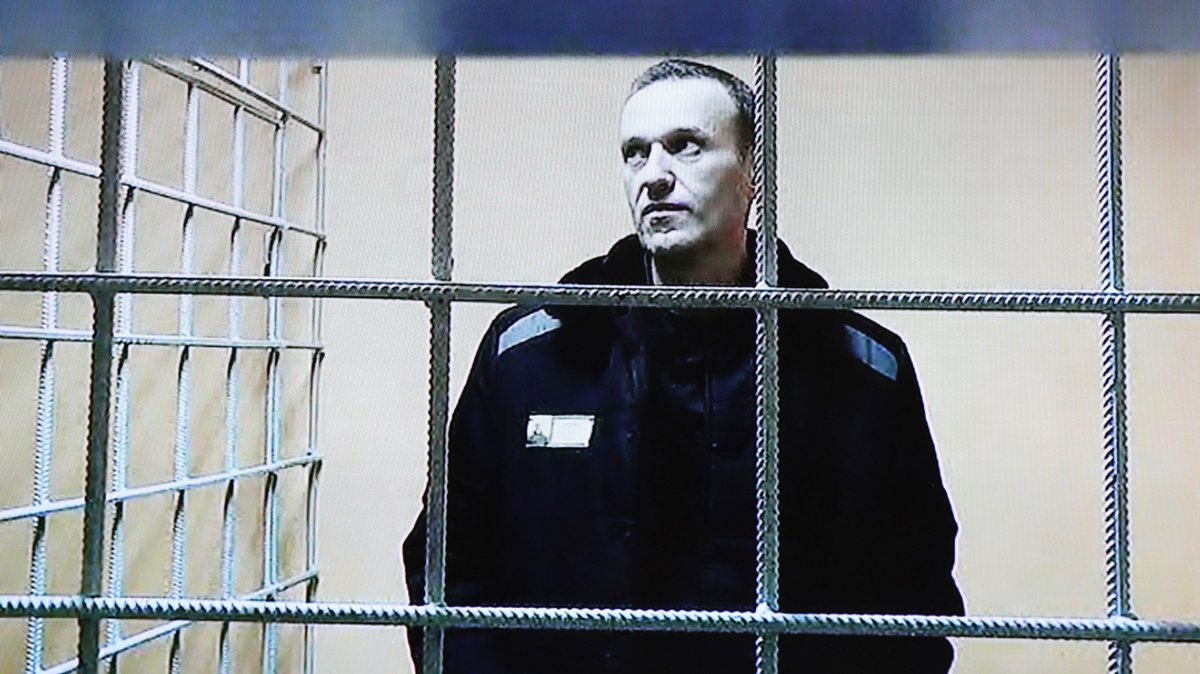 Alexej Nawalny, Oppositionspolitiker aus Russland, ist während einer Gerichtsverhandlung per Video aus einem Gefängnis zugeschaltet.