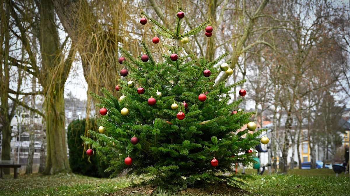 So stehen die Chancen auf weiße Weihnachten 2025 in Bayern