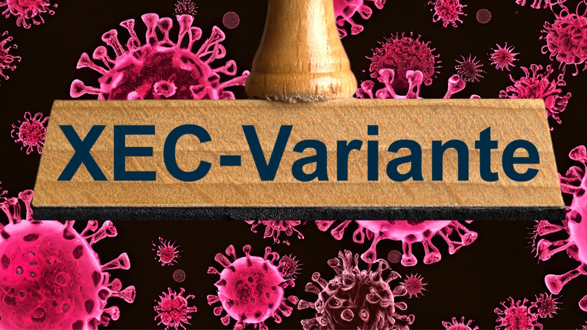 Coronavirus-Variante XEC: Symptome, Verbreitung und Impfung