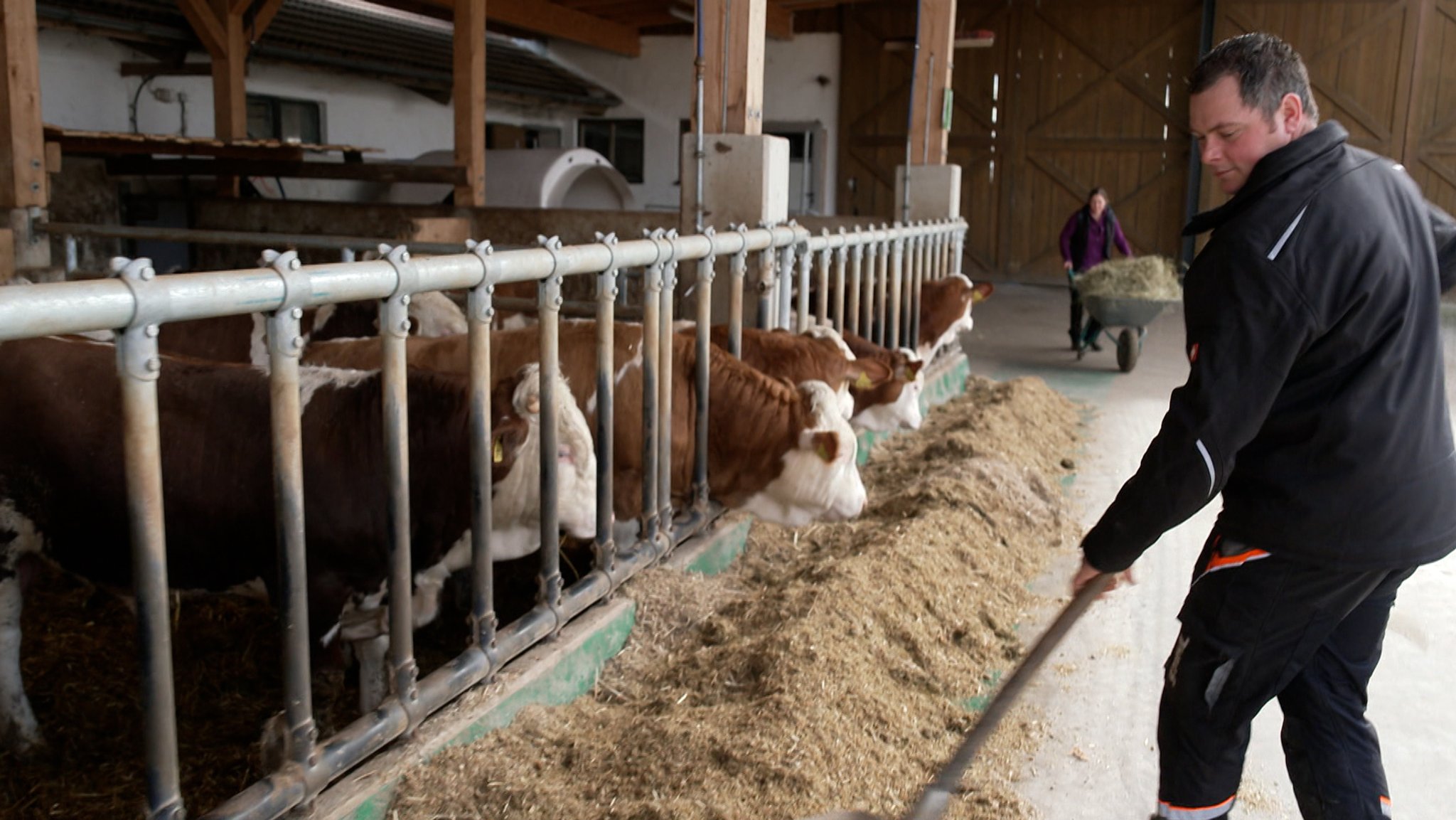 Zwei von drei Landwirtschaftsbetrieben in Bayern kommen heute nur noch über die Runden, weil die Bauern nebenbei dazuverdienen