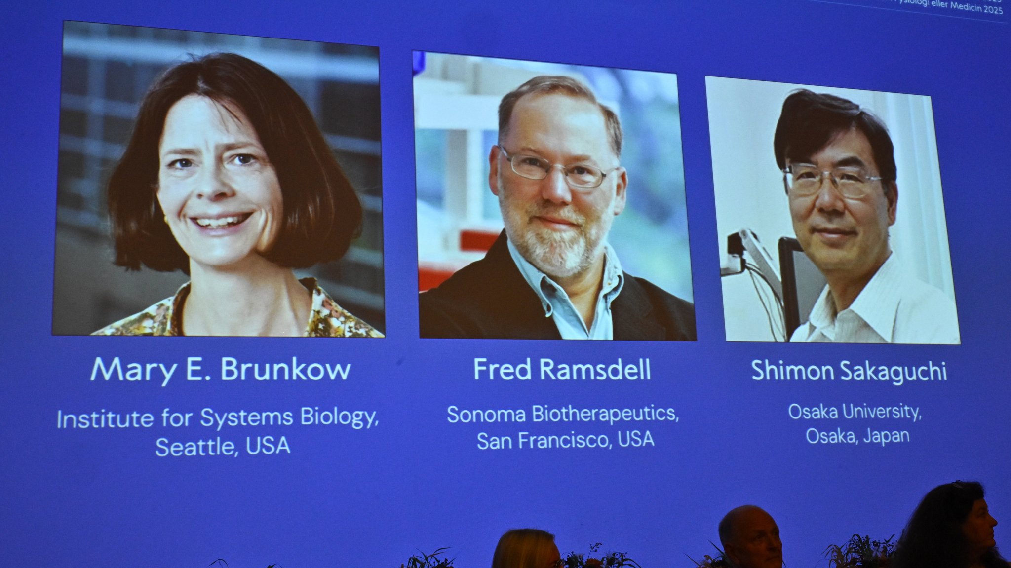 Stockholm, 6.10.25: Die mit dem Nobelpreis für Medizin ausgezeichneten Brunkow, Ramsdell und Sakaguchi auf einer Leinwand bei der Verkündung.