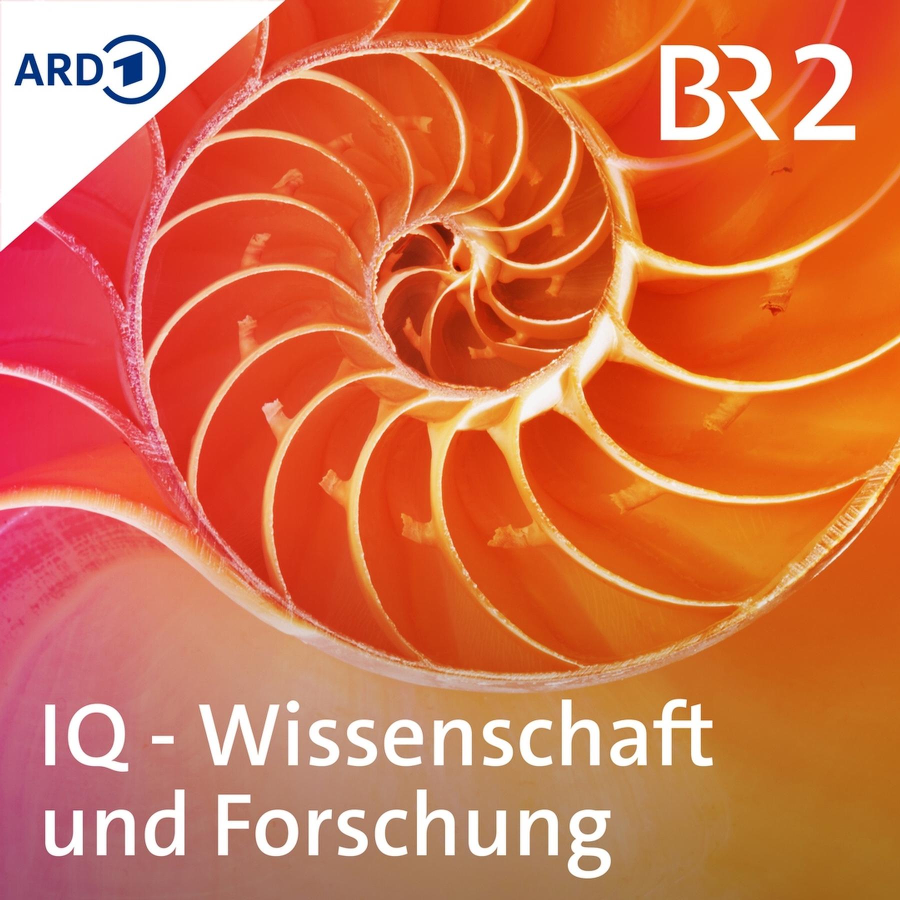 Magnetfeld der Sonne - Ist das ihr letztes Rätsel?