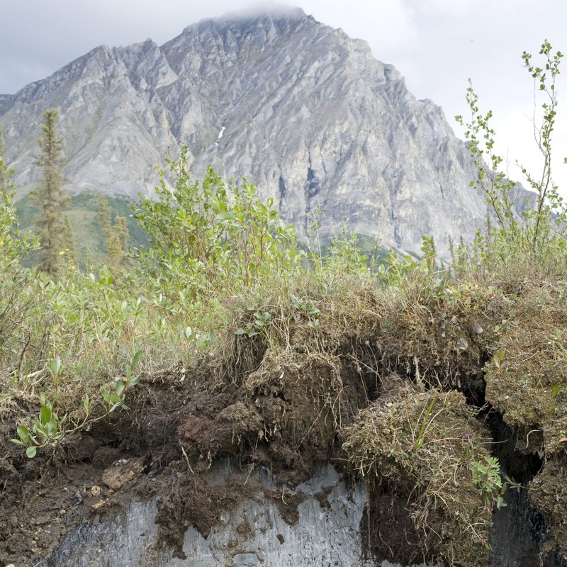 Der Permafrost taut auf - Folgen für Mensch und Umwelt - radioWissen | BR Podcast