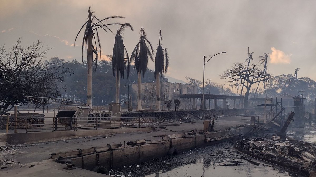 Waldbrände auf Hawaii – Biden ruft Katastrophenfall aus
