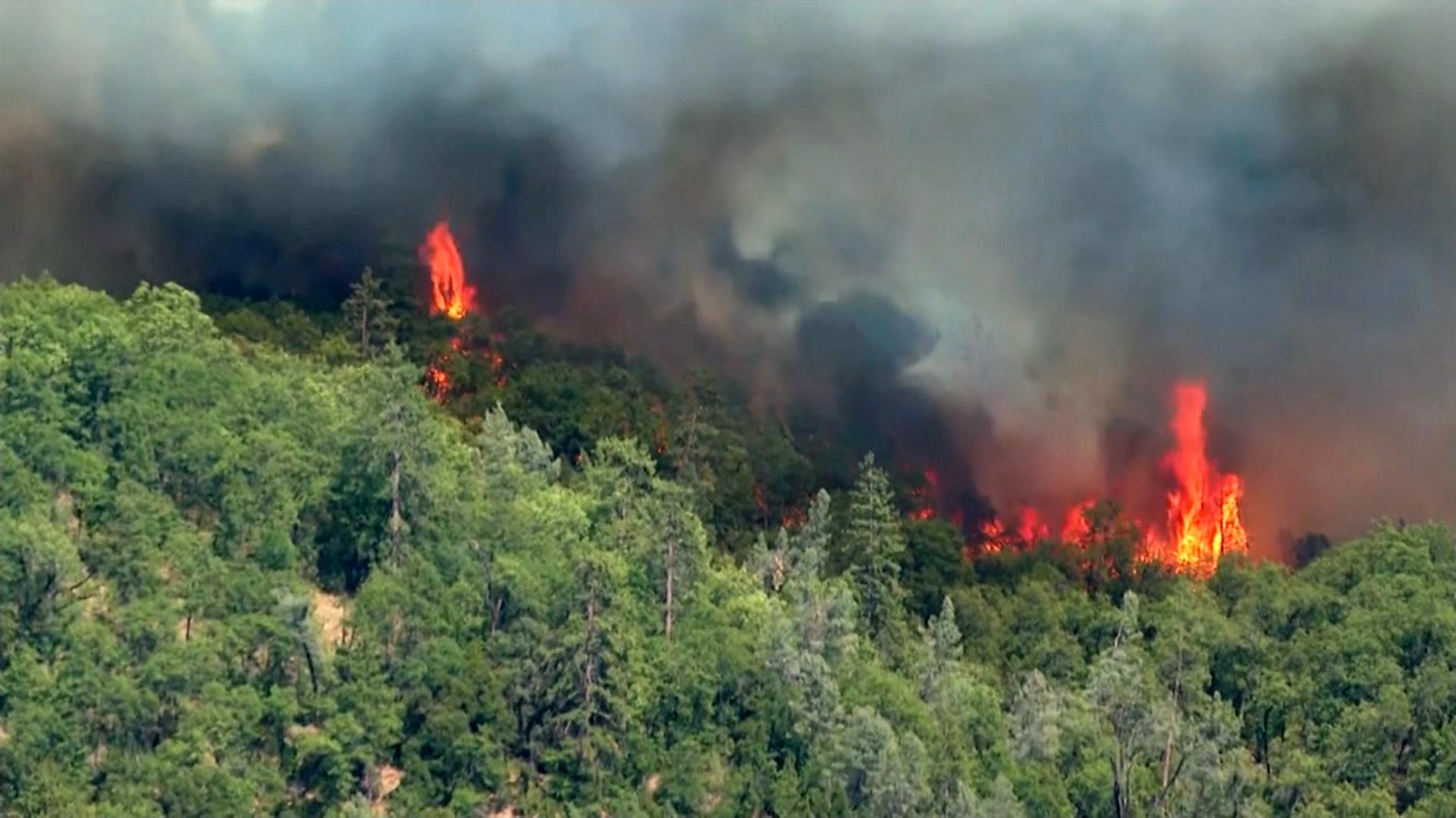Waldbrand in Nordamerika