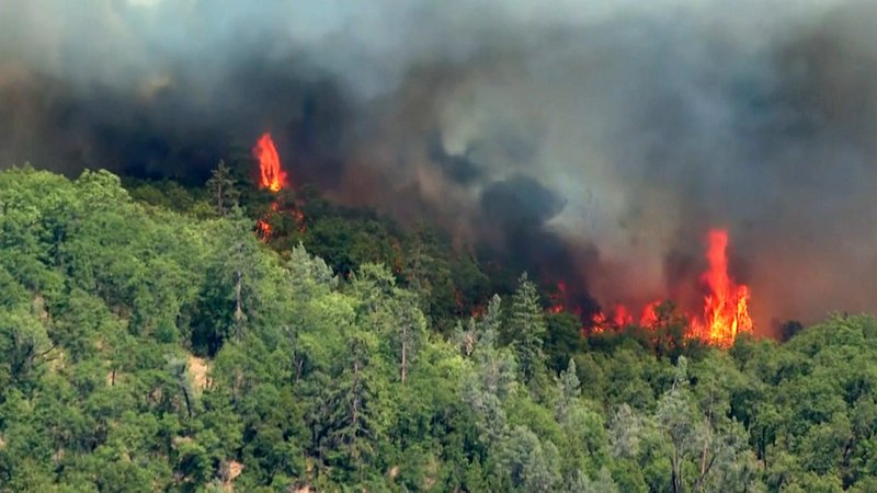 Waldbrand in Nordamerika