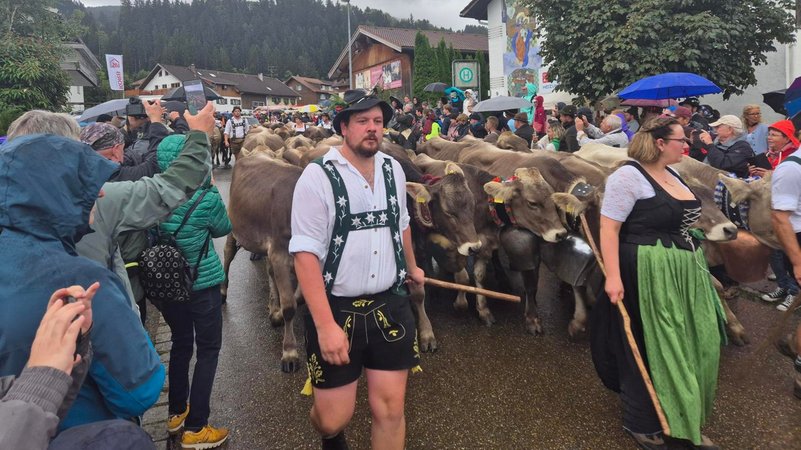 Viehscheid in Kranzegg | Bild: BR/ Christian Hammer Viehscheid in Kranzegg