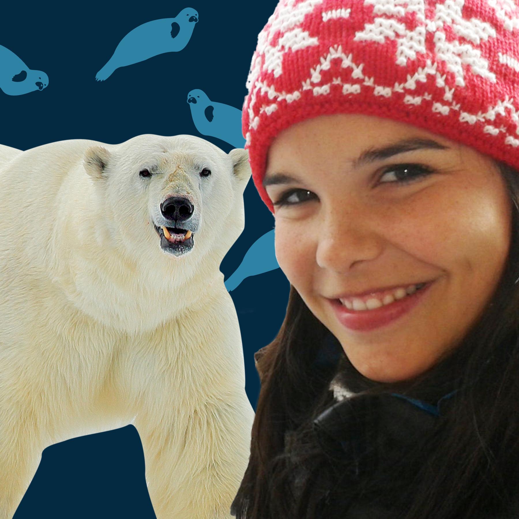 Eisbären – Von der Klimakrise bedrohte Könige der Arktis