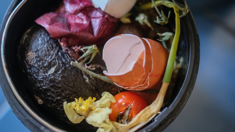 Biomüll in einer Tonne (Symbolbild) | Bild: BR/Johanna Schlüter Biomüll in einer Tonne (Symbolbild)