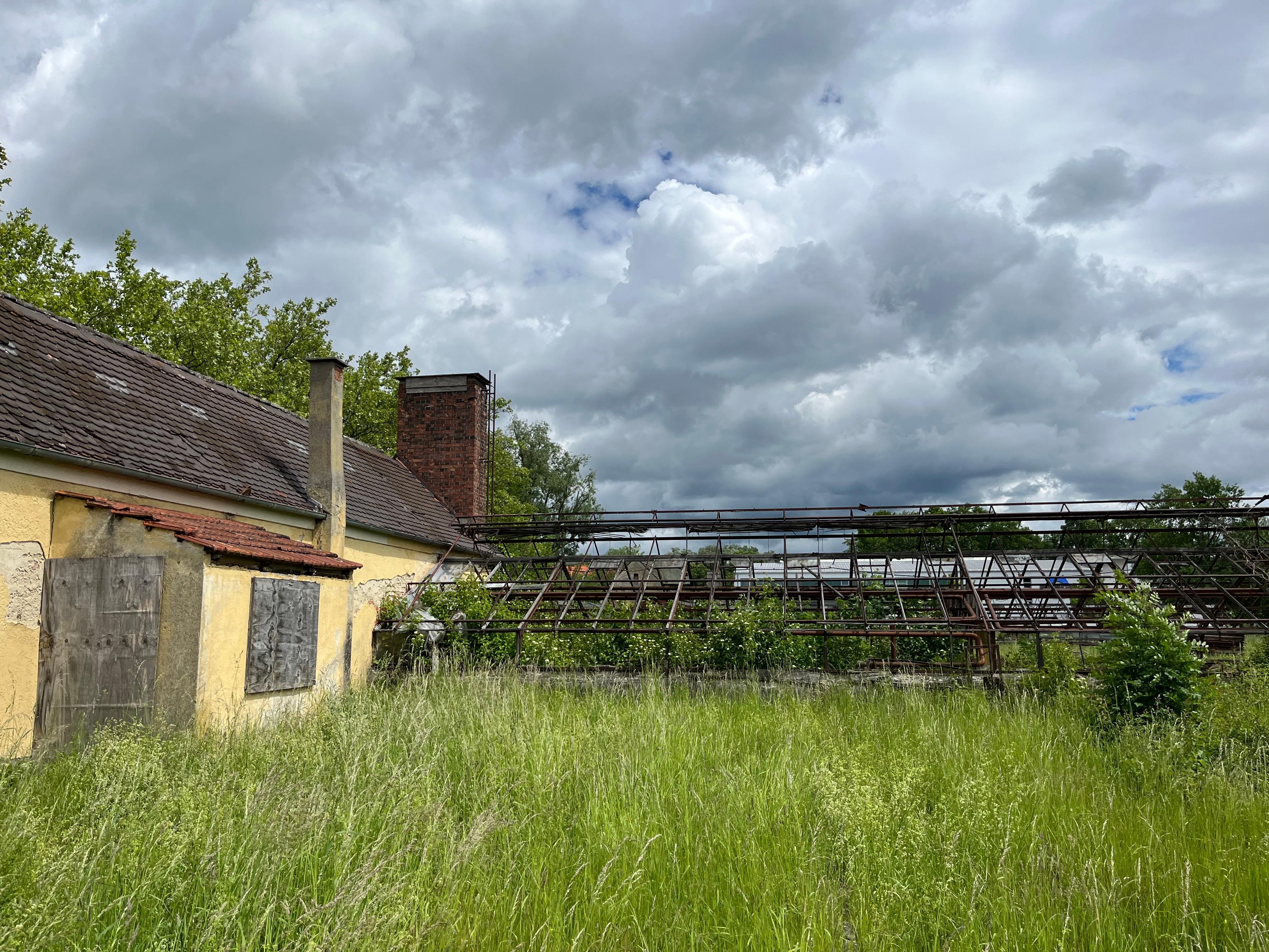 Die Überreste des "Kräutergartens" gegenüber dem KZ Dachau.