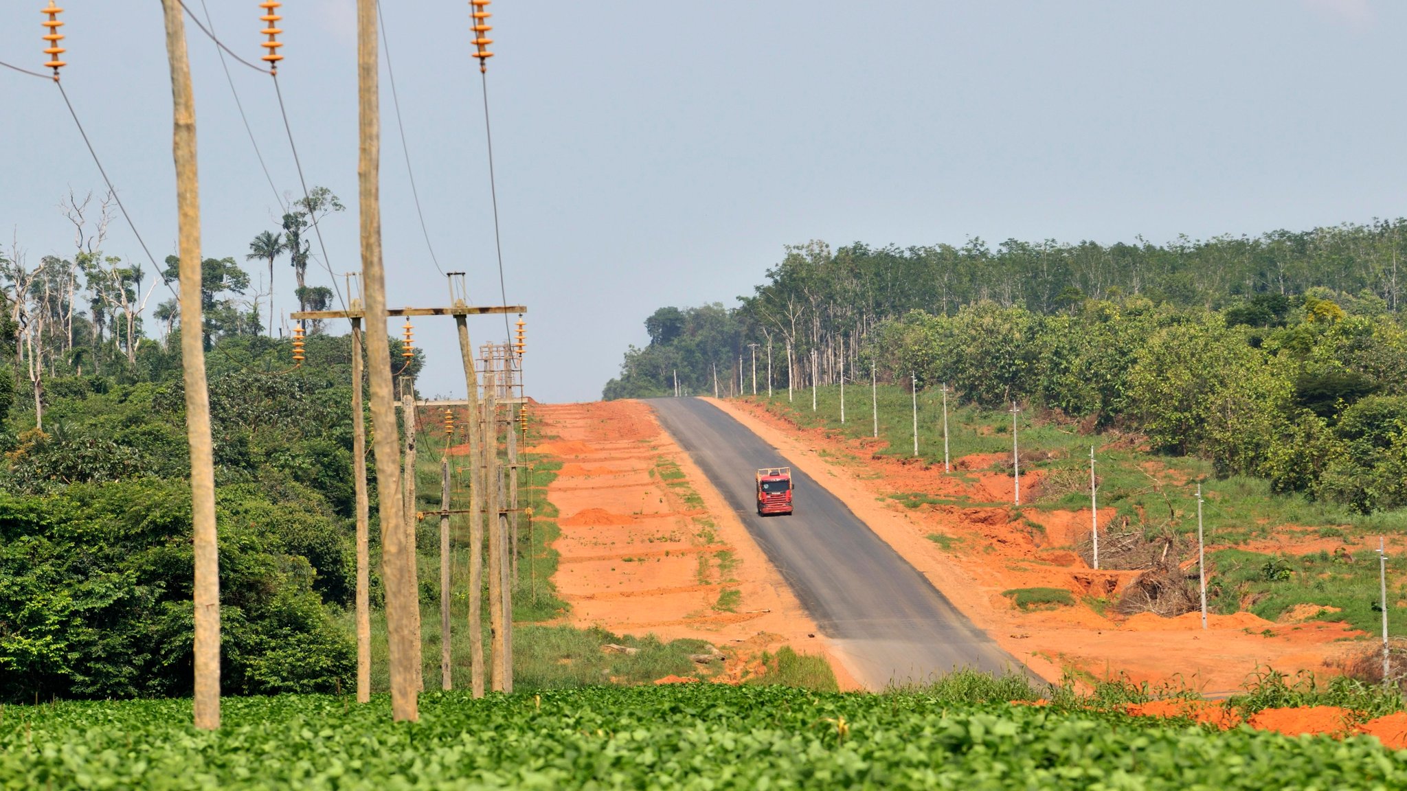 Abholzung des Amazonas Regenwaldes für den Straßenbau und Anbau von Soja