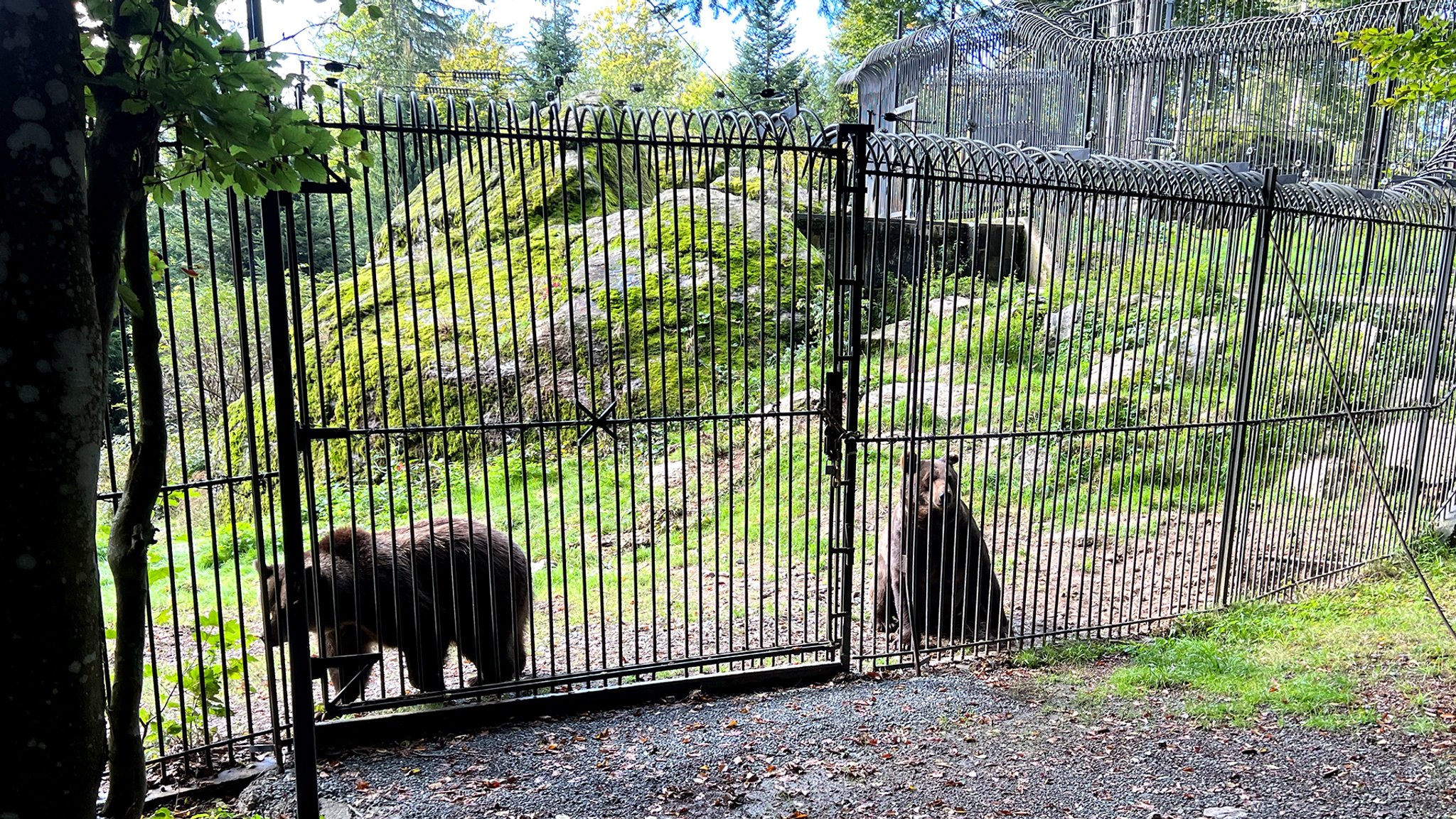 Projekt Urwald: Das umkämpfte Paradies - Folge 3: Paradies hinter Gittern