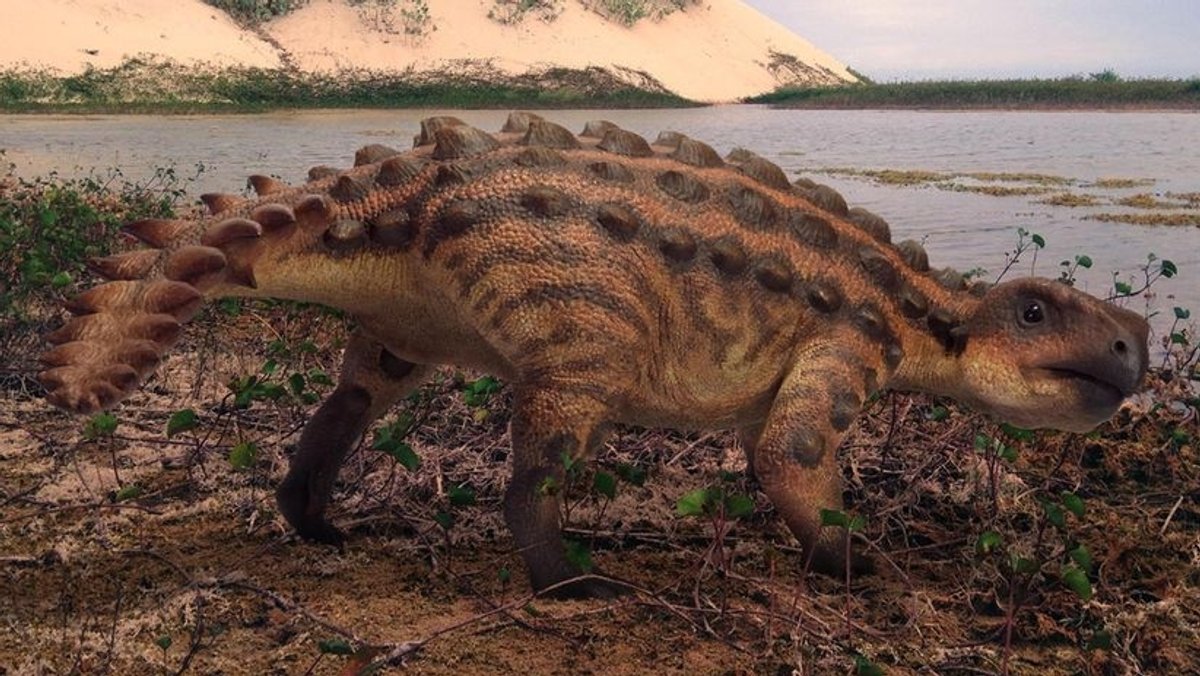 Neue Dinosaurier-Art mit Keulen-Schwanz 