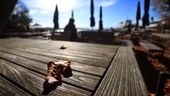 Herbstlaub liegt auf einem Holztisch in einer Außengastronomie. Im Hintergrund zugeklappte Sonnenschirme. | Bild:dpa-Bildfunk/Karl-Josef Hildenbrand